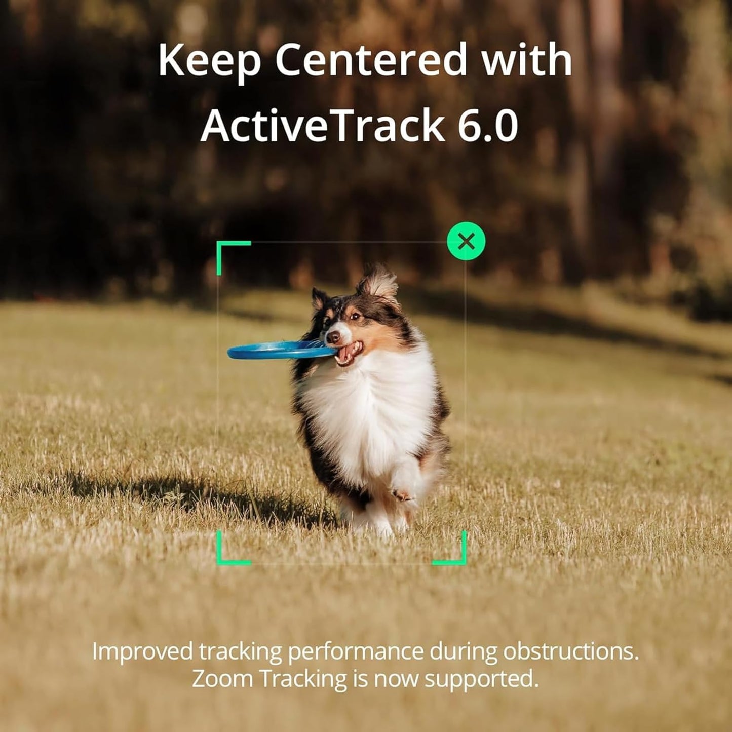 DJI Osmo Mobile SE Gimbal