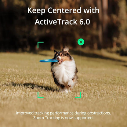DJI Osmo Mobile SE Gimbal