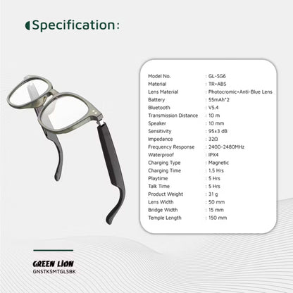 Green Lion Stockholm Smart Glasses – Black