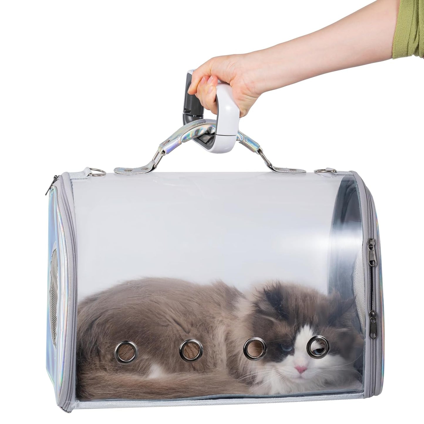 Green Lion Digital Luggage Scale (50 kg Max)